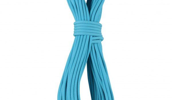 EDELRID - Apus Pro Dry 7.9 mm