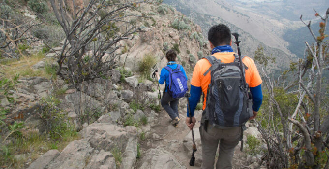 bastons de trekking